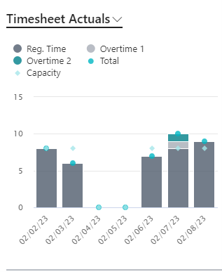 Timesheet FactBox - Pay Type View